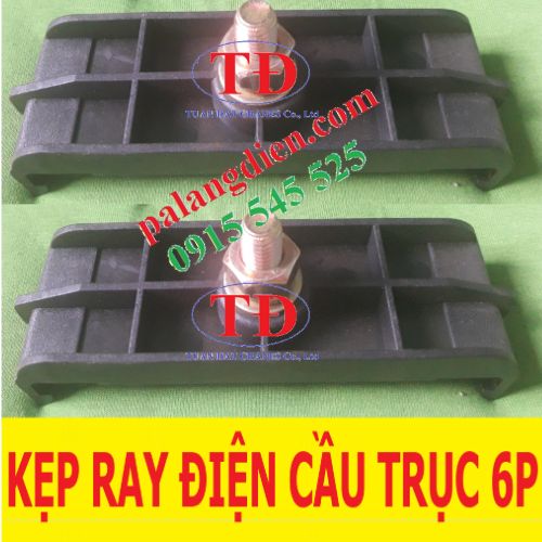 kẹp-ray-ray-dien-cau-truc-6p